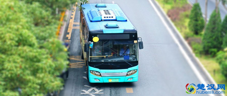 武汉东西湖区公交线路恢复情况