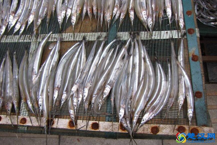 沙洋长湖银针鱼介绍 长湖银针鱼的特点及口感